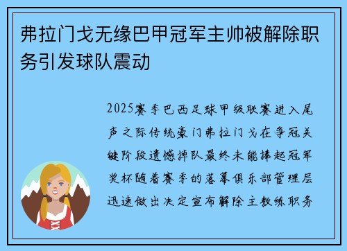 弗拉门戈无缘巴甲冠军主帅被解除职务引发球队震动 弗拉门戈无缘巴甲冠军主帅被解除职务引发球队震动